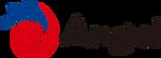 Angel Yeast Co., Ltd.