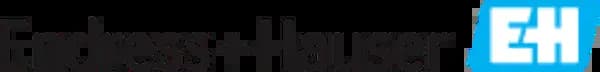 Endress+Hauser Group