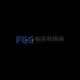 Flat Glass Group Co., Ltd.