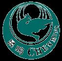 Shandong Chenming Paper Holdings Limited