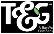 T&G Global Limited