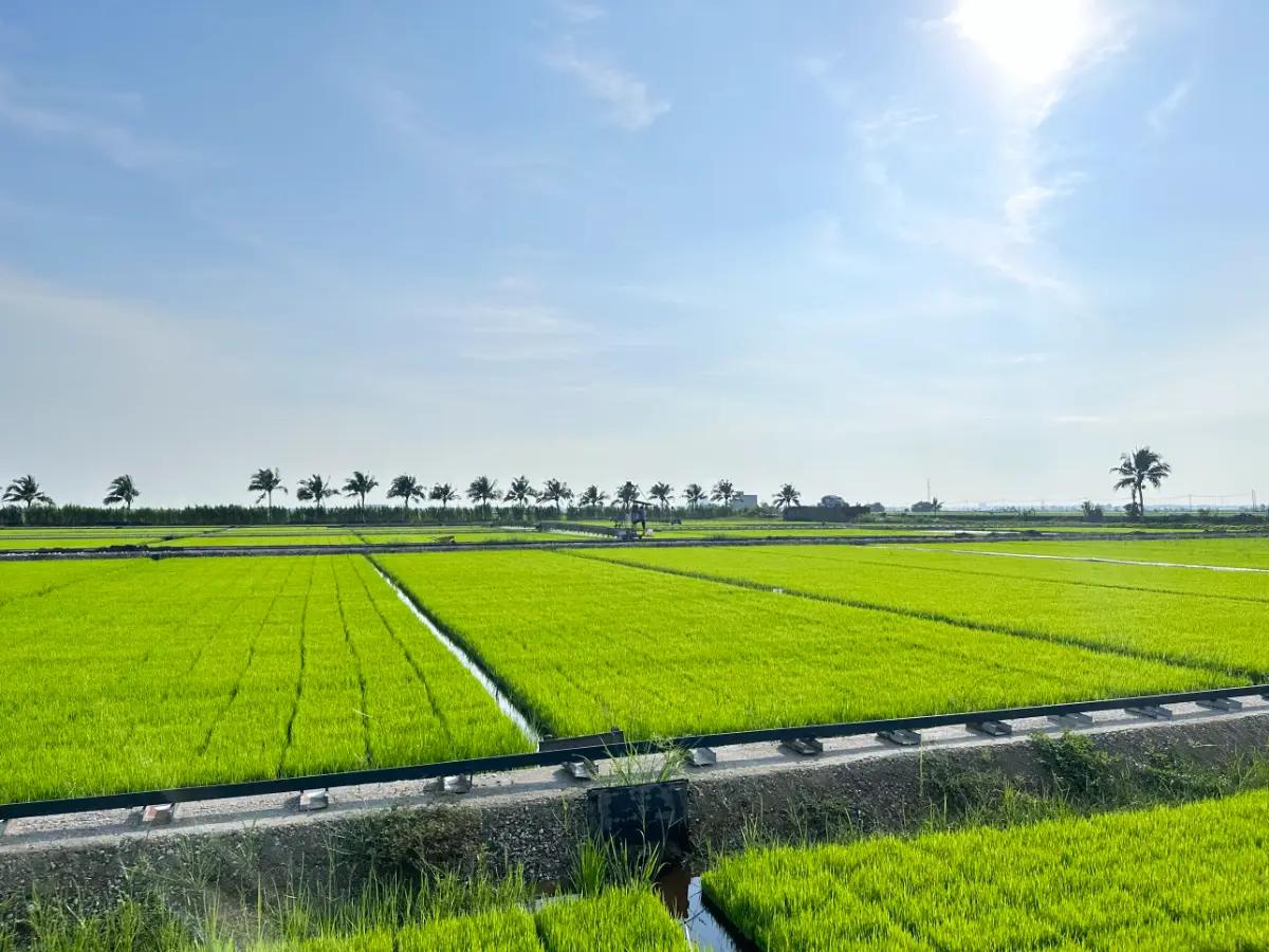 Clasificación de proveedores en la industria de productos agrícolas