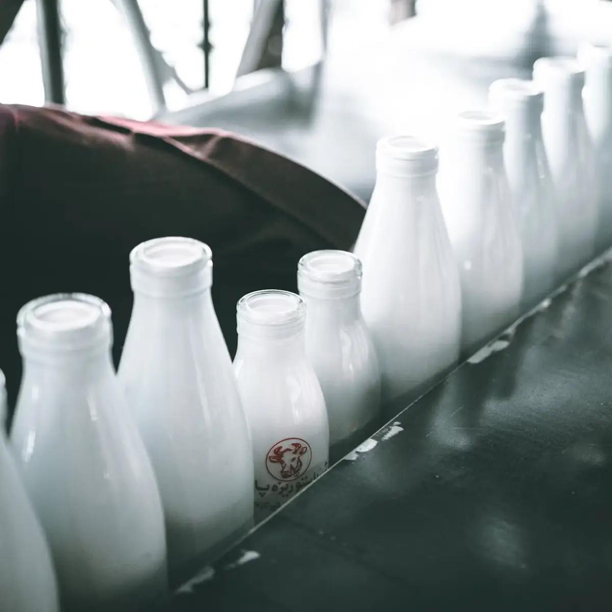 Productos Lácteos y Huevos