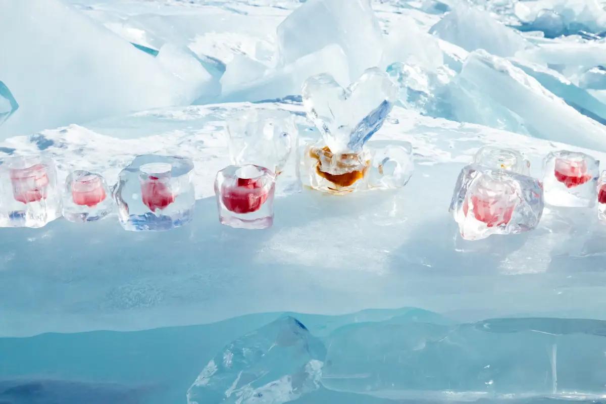 Alimentos Preparados Congelados