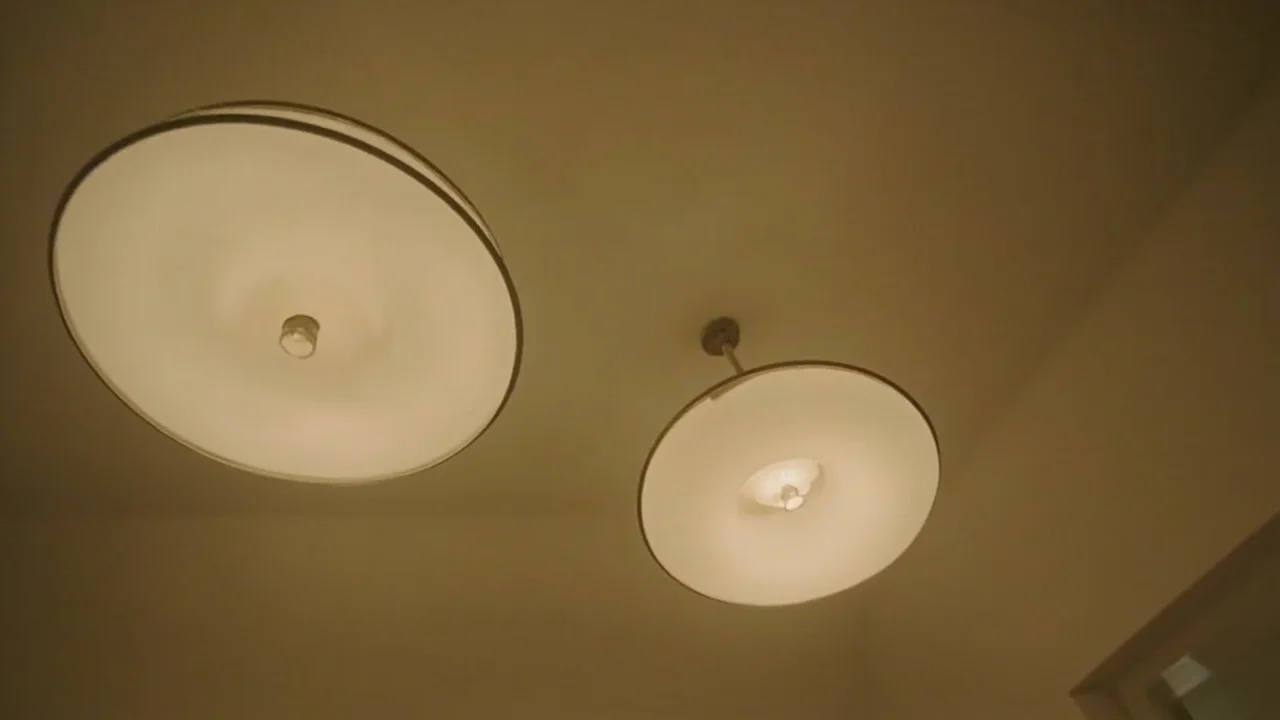 Home Lighting industry infographic